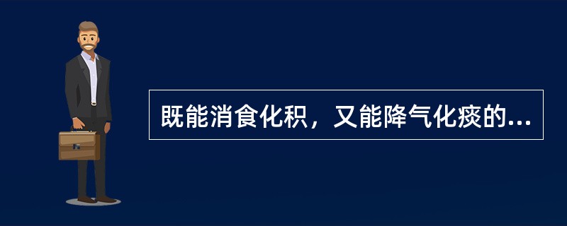 既能消食化积，又能降气化痰的药物是（）