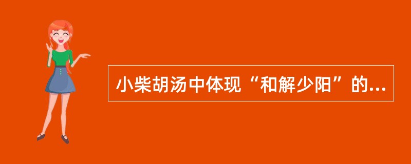 小柴胡汤中体现“和解少阳”的核心药对是（）