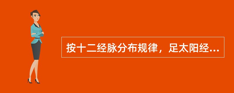 按十二经脉分布规律，足太阳经在头面部主要行于（）