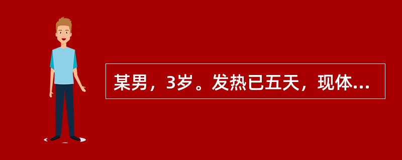 某男，3岁。发热已五天，现体温38.5℃，恶风，咳嗽，喉中痰鸣，呼吸气粗，鼻塞流浊涕，大便干，舌红苔薄黄，脉浮数。临床诊断最有可能是（）