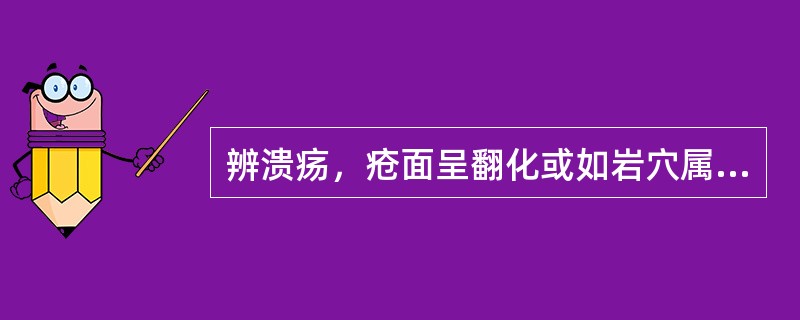 辨溃疡，疮面呈翻化或如岩穴属（）