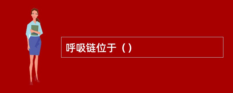 呼吸链位于（）