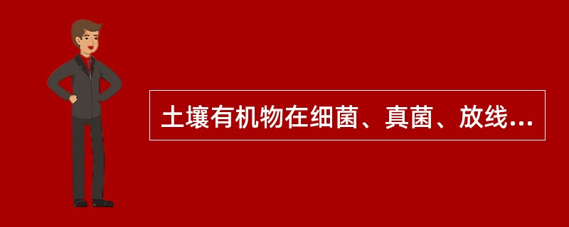 土壤有机物在细菌、真菌、放线菌的作用下形成腐殖酸、木质素、富里酸、胡敏酸的过程称为（）