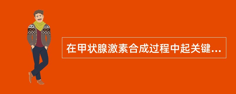 在甲状腺激素合成过程中起关键作用的酶是（）