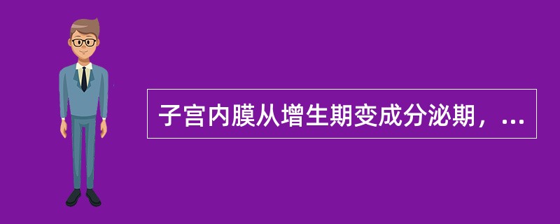 子宫内膜从增生期变成分泌期，其最直接原因是（）