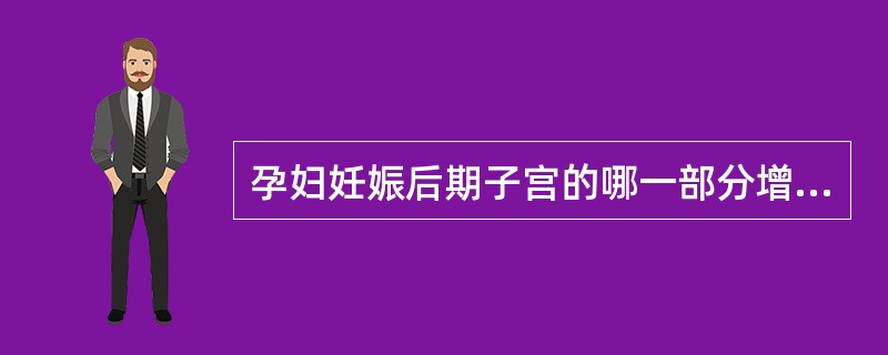 孕妇妊娠后期子宫的哪一部分增长速度最慢（）