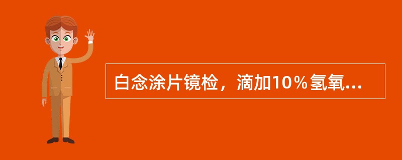 白念涂片镜检，滴加10％氢氧化钠的作用为（）。