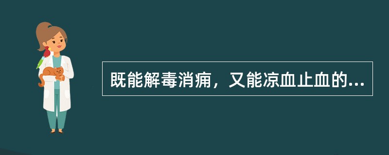 既能解毒消痈，又能凉血止血的药物是（）