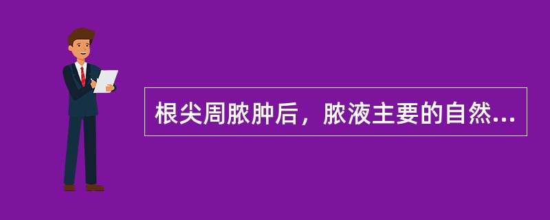 根尖周脓肿后，脓液主要的自然引流途径为（）。