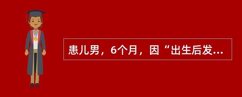 患儿男，6个月，因“出生后发现发绀，加剧伴气促、咳痰5d”来诊。查体：体重5kg。哭声低，反应差，皮肤发绀，呼吸急促，双肺可闻及湿啰音。胸骨左缘第2～4肋间Ⅱ/Ⅵ级收缩期杂音，肺动脉瓣听诊区第二心音明