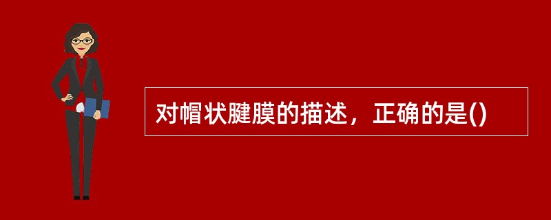 对帽状腱膜的描述，正确的是()
