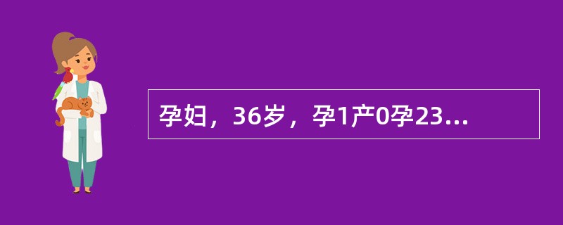 孕妇，36岁，孕1产0孕23周2d。孕16周血清学唐氏综合征筛查风险值为1/60。超声测量羊水指数为26cm，上腹部横切面超声所见如下图。<br /><img src="h