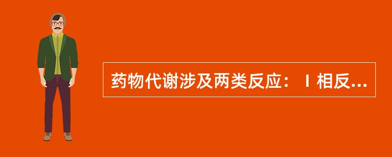 药物代谢涉及两类反应：Ⅰ相反应和Ⅱ相反应。Ⅰ相反应包括氧化、还原和水解3种，通常是脂溶性药物通过反应生成极性基团；Ⅱ相反应为结合反应，通常是药物或Ⅰ相反应生成的代谢产物结构中的极性基团与机体内源性物质