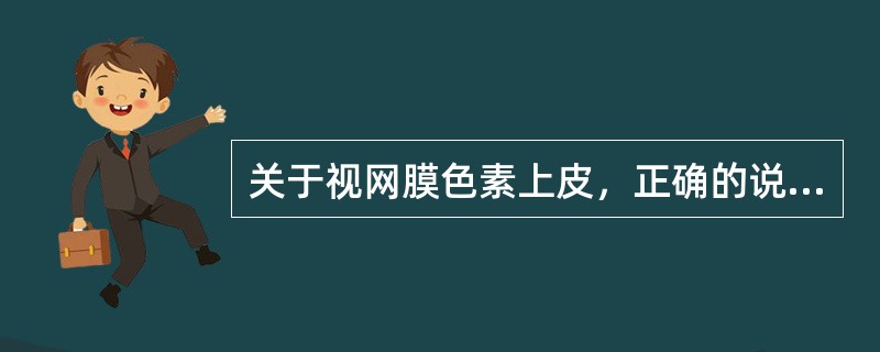 关于视网膜色素上皮，正确的说法是()