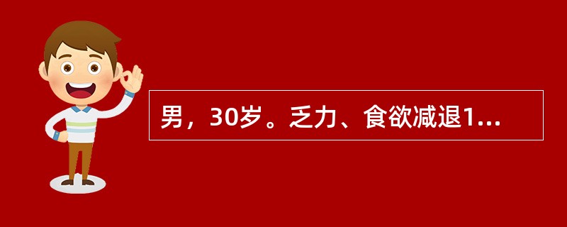 男，30岁。乏力、食欲减退1年。Hb90g/L，MCV110fl，MCH36pg，MCHC330g/L。最可能的病因是