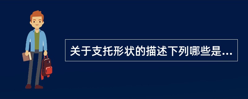 关于支托形状的描述下列哪些是正确的