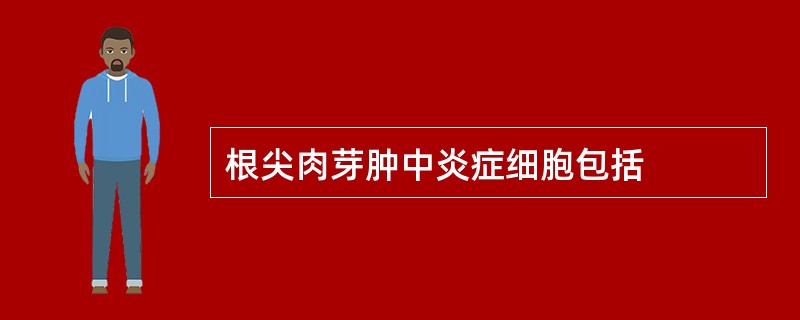 根尖肉芽肿中炎症细胞包括