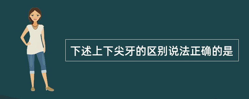 下述上下尖牙的区别说法正确的是