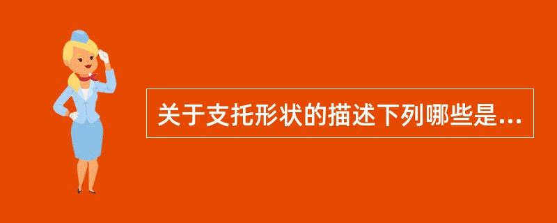 关于支托形状的描述下列哪些是正确的