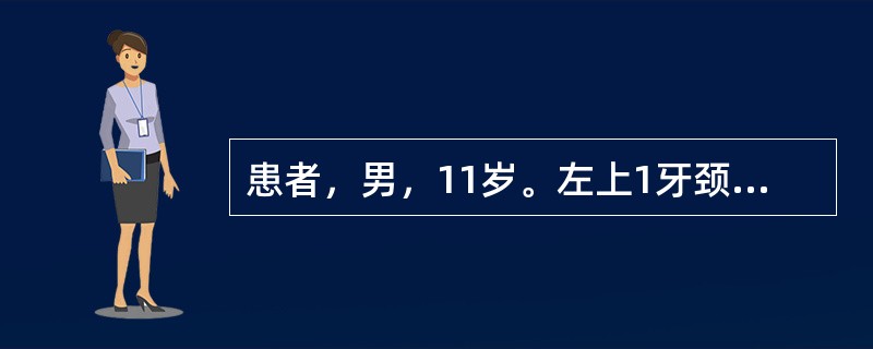 患者，男，11岁。左上1牙颈部冠折，已行根管治疗。如果选择桩冠修复，则此牙根充后桩冠开始的最早时间可能是