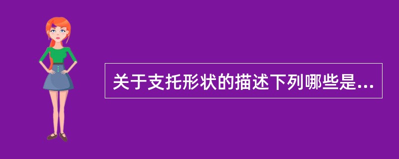 关于支托形状的描述下列哪些是正确的