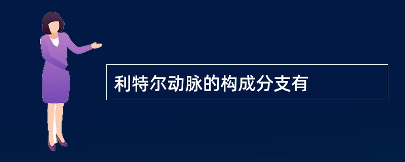 利特尔动脉的构成分支有