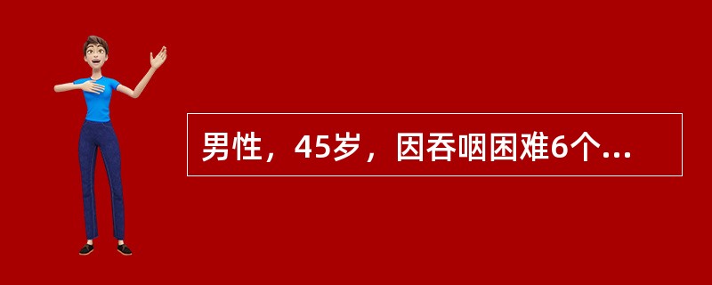 男性，45岁，因吞咽困难6个月来院就诊。体格检查未发现阳性体征。此时，首先考虑的辅助检查是