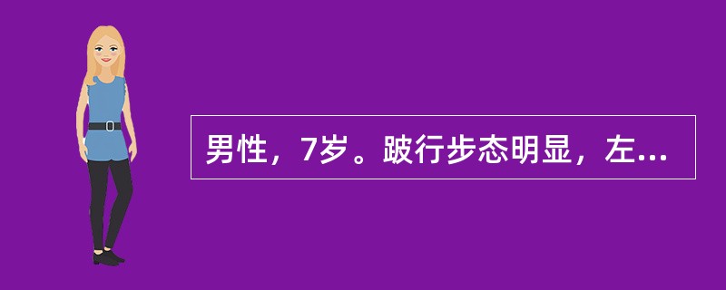 男性，7岁。跛行步态明显，左髋屈曲、外展、外旋位畸形，左下肢肌肉萎缩，肌力减弱。假设该患儿的髋关节屈曲超过60°以上，应施行