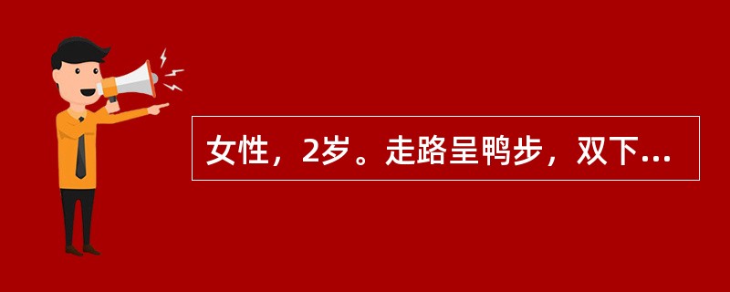 女性，2岁。走路呈鸭步，双下肢等长，Allis征阴性．Ortolani试验阳性。骨盆X线检查：股骨头骨骺明显变小，外移呈Ⅰ度脱位，髋臼指数大。复位后X线片示双侧头臼对称。石膏固定需多长时间为宜