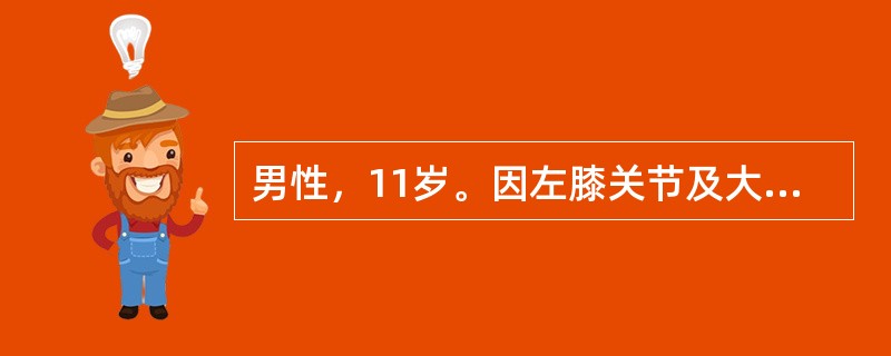 男性，11岁。因左膝关节及大腿间歇性疼痛、跛行1年就诊。以下哪一项检查的诊断与鉴别诊断意义不大