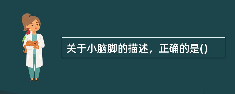 关于小脑脚的描述，正确的是()