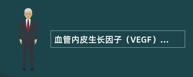 血管内皮生长因子（VEGF）的生物学功能包括