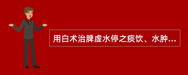 用白术治脾虚水停之痰饮、水肿、小便小利，是取其什么功效