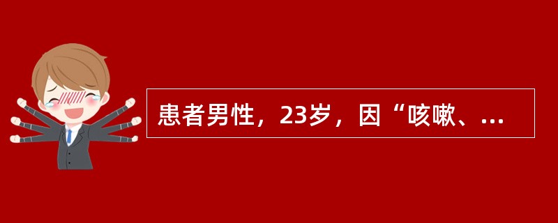 患者男性，23岁，因“咳嗽、低热、气喘、胸闷隐痛、盗汗”来诊。诊断：肺结核。以抗结核药物标准疗法治疗。与其他抗结核药物联用时可降低耐药性产生的药物是