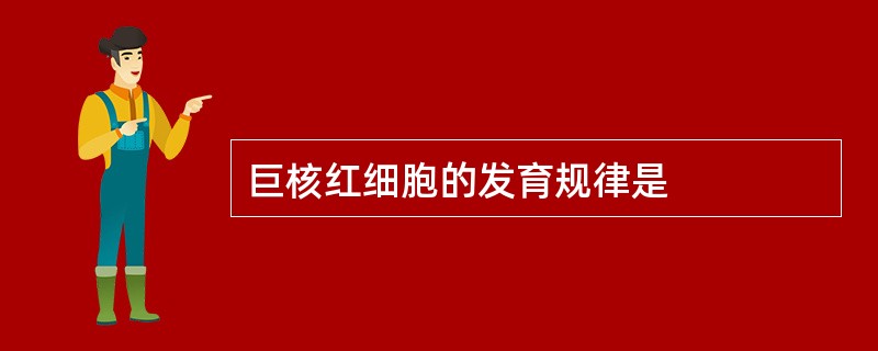 巨核红细胞的发育规律是