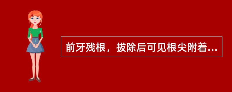 前牙残根，拔除后可见根尖附着一团组织，镜下见淋巴细胞、浆细胞浸润，并见纤维细胞和血管内皮细胞增生为特征，并可见泡沫细胞和不规则上皮岛。本病例诊断应为