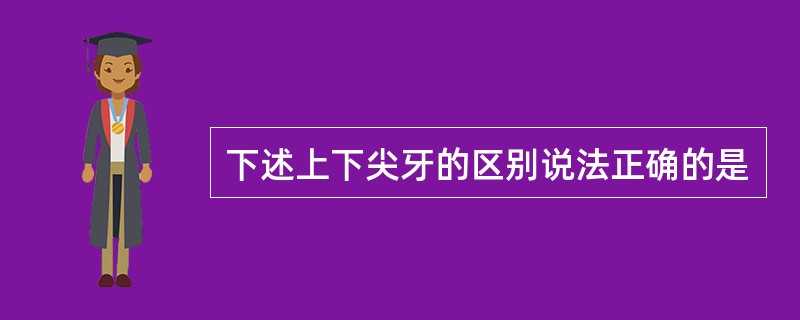 下述上下尖牙的区别说法正确的是