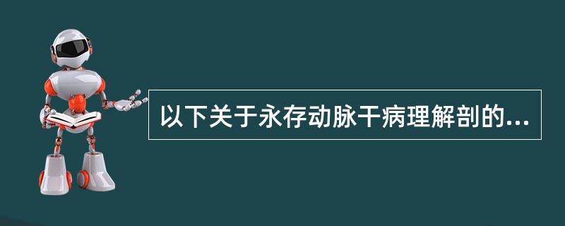 以下关于永存动脉干病理解剖的描述，正确的是()