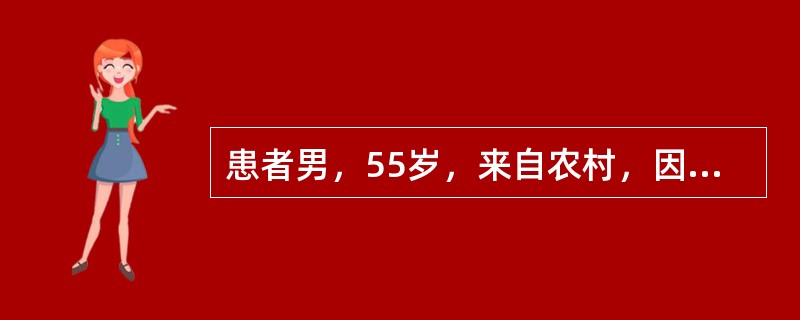 患者男，55岁，来自农村，因“右上腹进行性胀痛3个月，伴食欲减退、消瘦等”来诊。查体：巩膜轻度黄染，贫血外观，腹部膨起，胸、腹壁及腰部静脉曲张，双下肢静脉曲张明显，无压痛、反跳痛，肠鸣音减弱。为明确诊