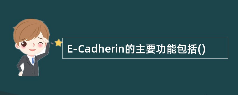 E–Cadherin的主要功能包括()