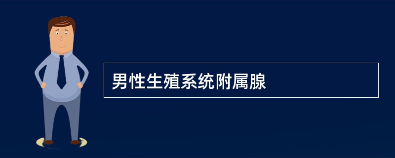 男性生殖系统附属腺