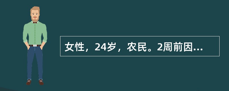 女性，24岁，农民。2周前因家中被盗急起精神失常，兴奋话多，疑神疑鬼，胡言乱语，打人毁物，近2天病情加重而入院。2周前因家中被盗，丢失500元，当晚彻夜不眠，反复想自己做事考虑不周。情绪激动，烦躁不安