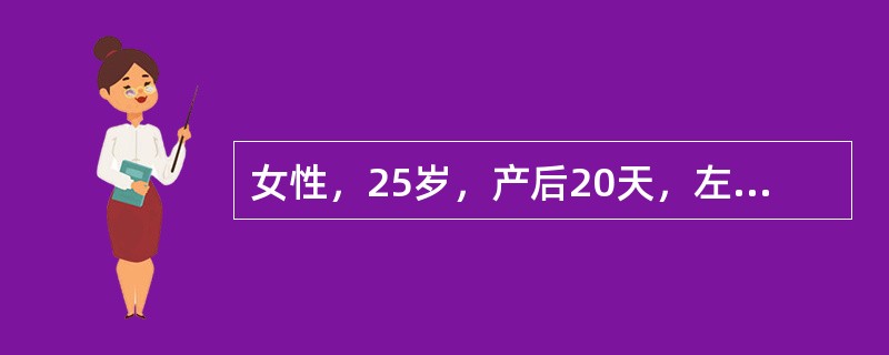 女性，25岁，产后20天，左乳腹痛伴发热。体查：体温39.0℃，左乳外皮象限皮温高，红肿，有一痛性肿块，直径约4cm，有波动感。最恰当的治疗原则是