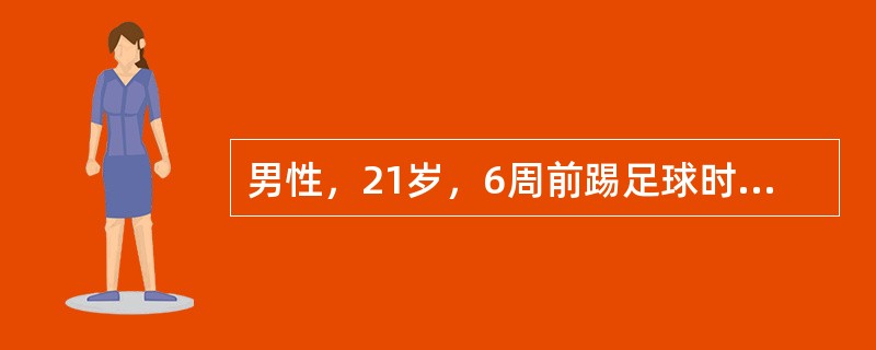 男性，21岁，6周前踢足球时扭伤左膝，疼痛至今未愈，行走时常有弹响和绞锁膝关节半月板的作用属下列哪一项