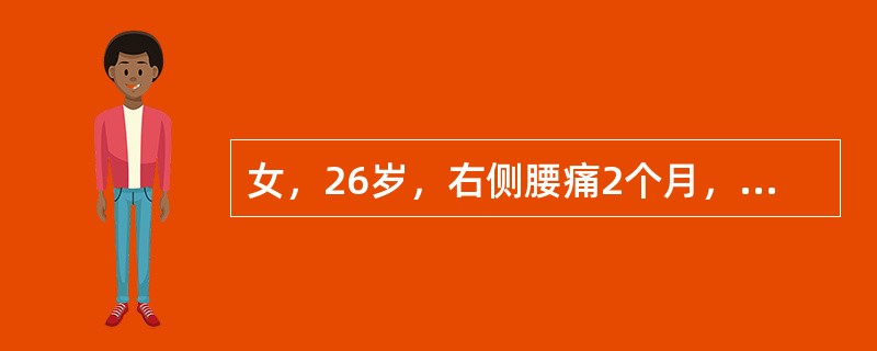 女，26岁，右侧腰痛2个月，B超发现右侧肾积水。IVP右肾不显影，左肾正常。该病人最后被确诊为右肾盂输尿管连接部狭窄伴巨大。肾积水，肾皮质厚度为0.8cm。最佳治疗方案是()