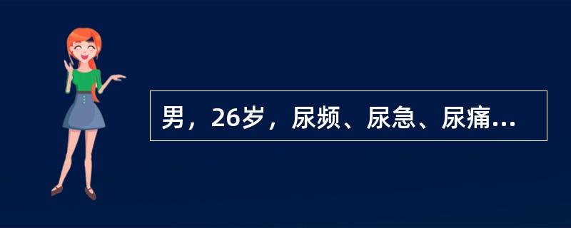 男，26岁，尿频、尿急、尿痛伴间歇性终末血尿3年，有时尿混浊，一般抗生素治疗无效。尿液检查：脓球40～55/HP，红细胞20～30/HP，蛋白(+)。经检查诊断为“左肾结核”，体检：双肾未触及，肾区无