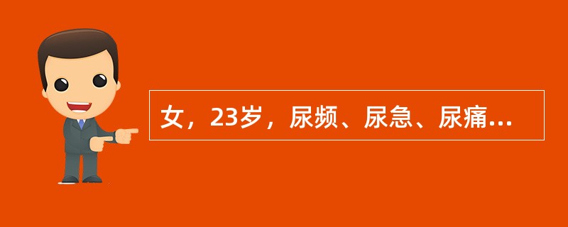 女，23岁，尿频、尿急、尿痛1年余，有时尿混浊，服用多种抗生素治疗效果不好。尿常规检查：PH5.0，比重020，红细胞30～40/HP，白细胞和脓球满视野，蛋白(++)。最可能的诊断为()