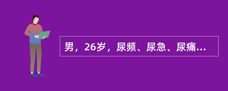 男，26岁，尿频、尿急、尿痛伴间歇性终末血尿3年，有时尿混浊，一般抗生素治疗无效。尿液检查：脓球40～55/HP，红细胞20～30/HP，蛋白(+)。肾切除术后行抗结核治疗，如果多次检查尿结核菌阴性，