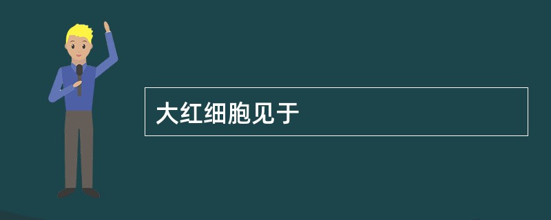 大红细胞见于