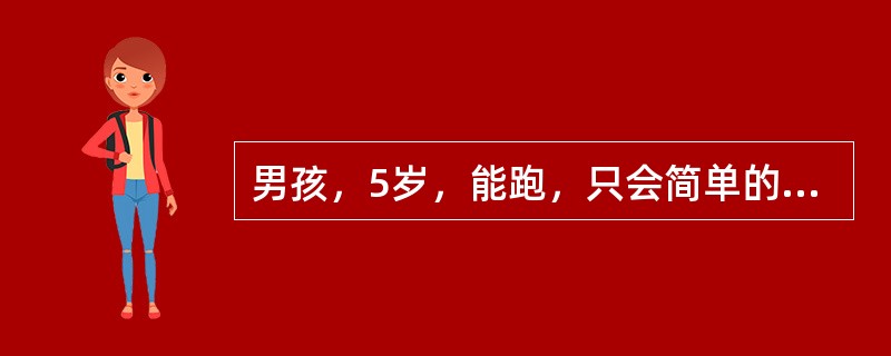 男孩，5岁，能跑，只会简单的叫人，还不能分辨红、黄、白颜色。不会点实物计数。经医生检查认为有智能低下的可能，需要作筛查性测验。该小儿经筛查性测验认为有异常，需作诊断性智力检查，认为下列哪一项最合适